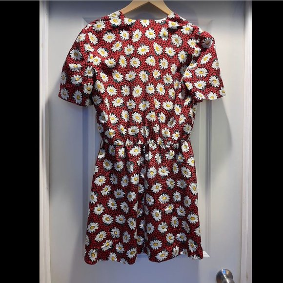 Vintage Daisy Dress - Picture 4 of 4